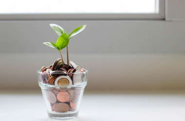 Imagem de um vaso de plantas com moedas no lugar da terra.