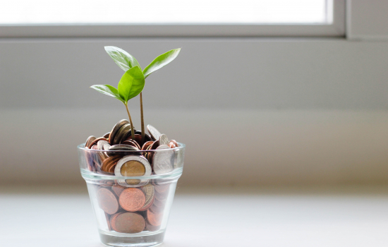 Imagem de um vaso de plantas com moedas no lugar da terra.